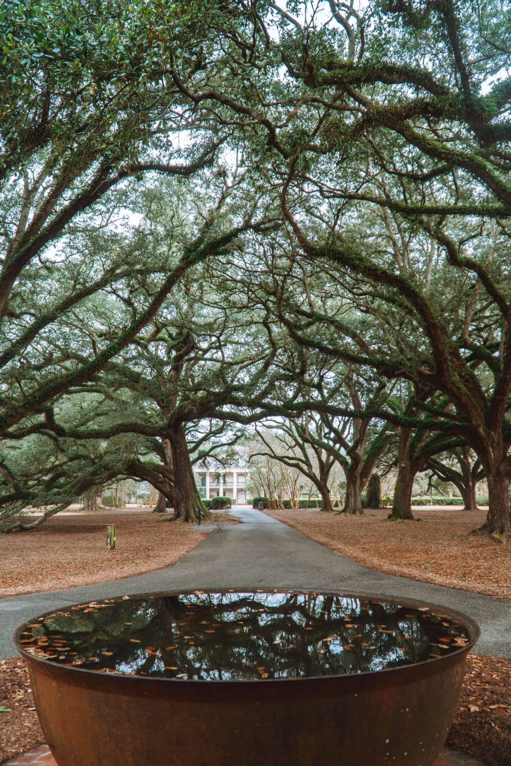 Sugar cane boiling pot | Staying Overnight at Oak Alley Plantation in Louisiana | The Republic of Rose