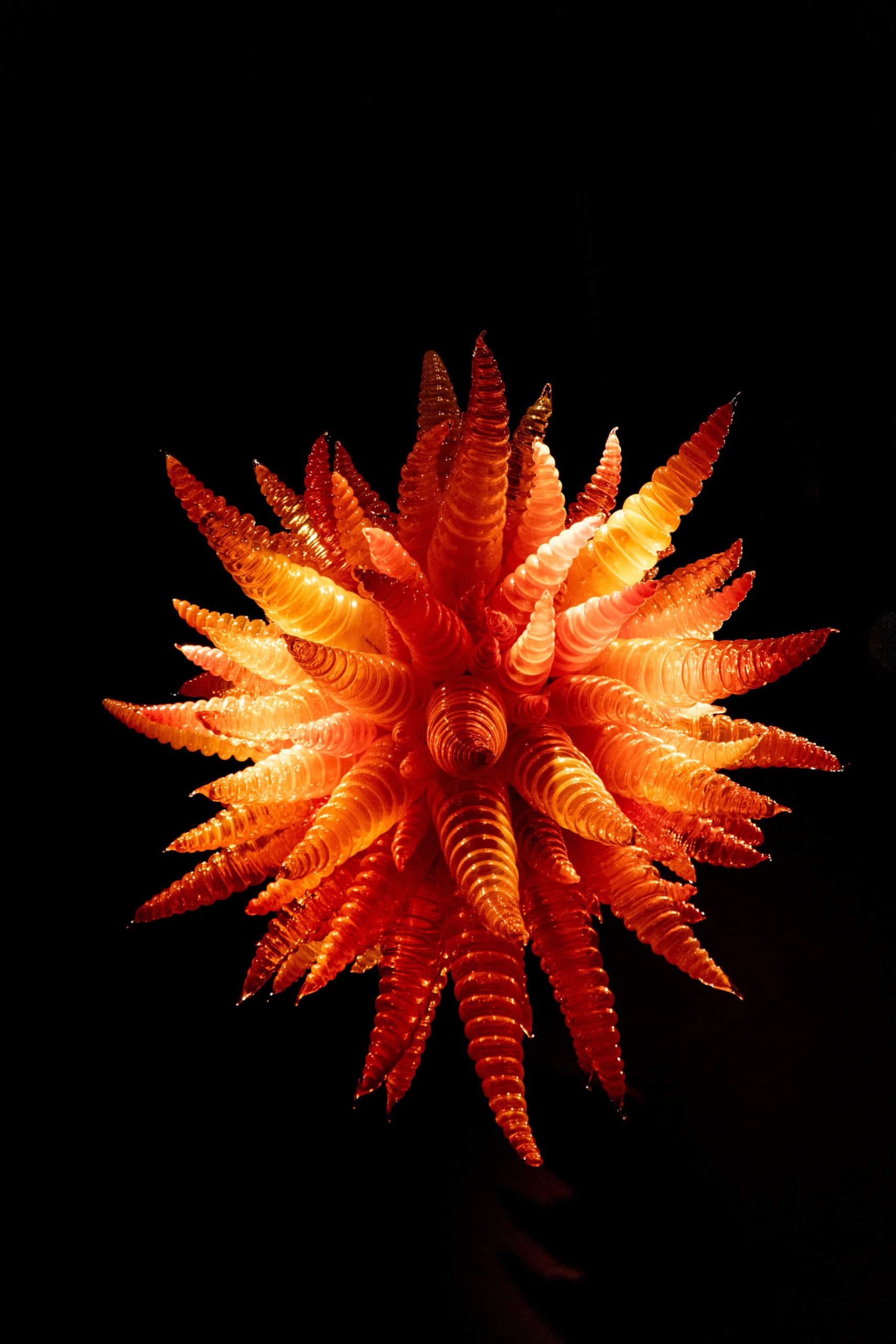 Chihuly Garden & Glass Museum | The Ultimate First-Timer's Guide to Seattle | The Republic of Rose