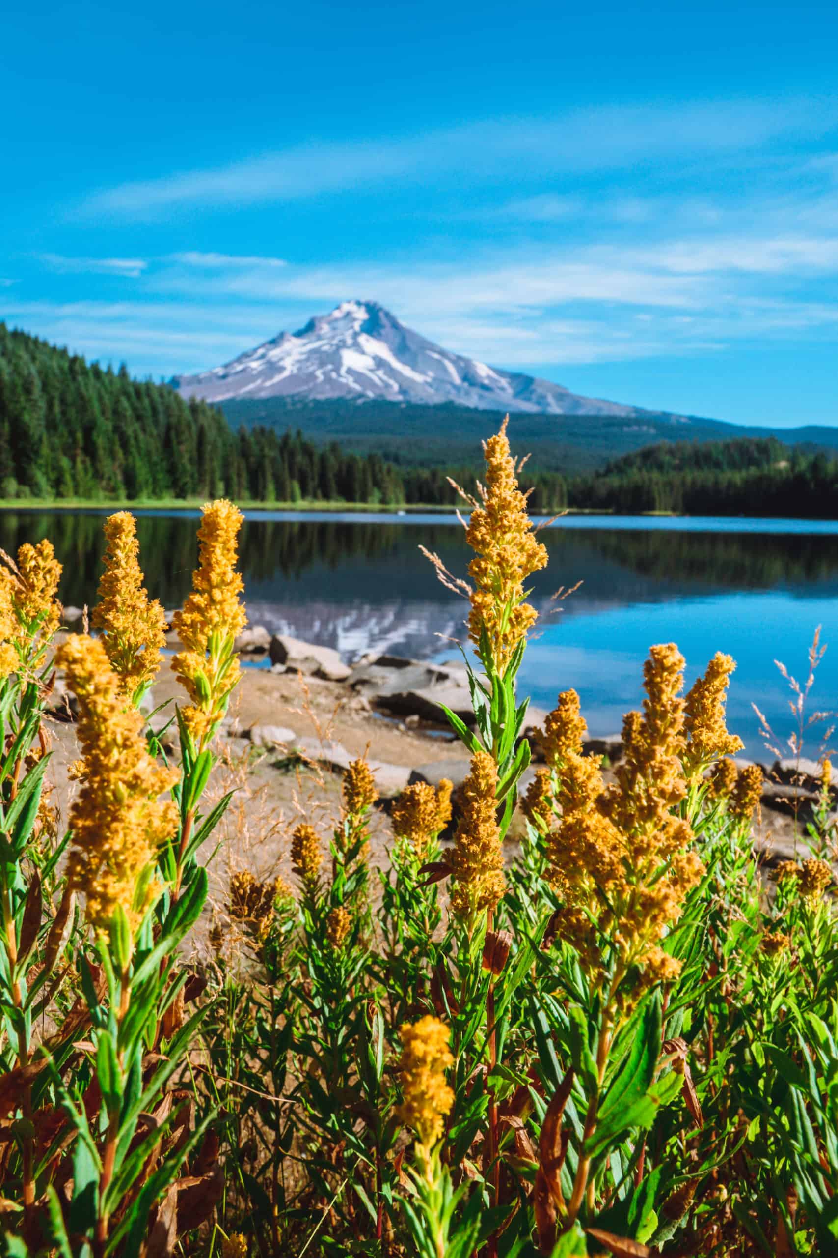 Trillum Lake - The Perfect Oregon Road Trip Itinerary | The Republic of Rose