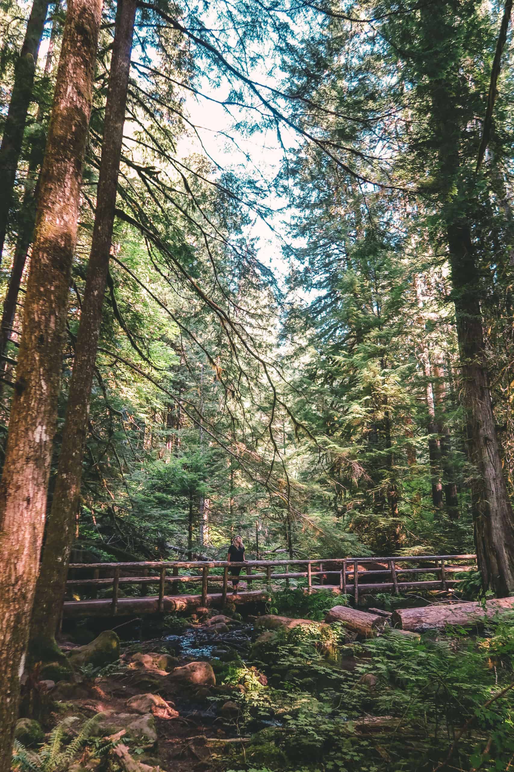 Tamolitch Falls (Blue Pool) hike - The Perfect Oregon Road Trip Itinerary | The Republic of Rose