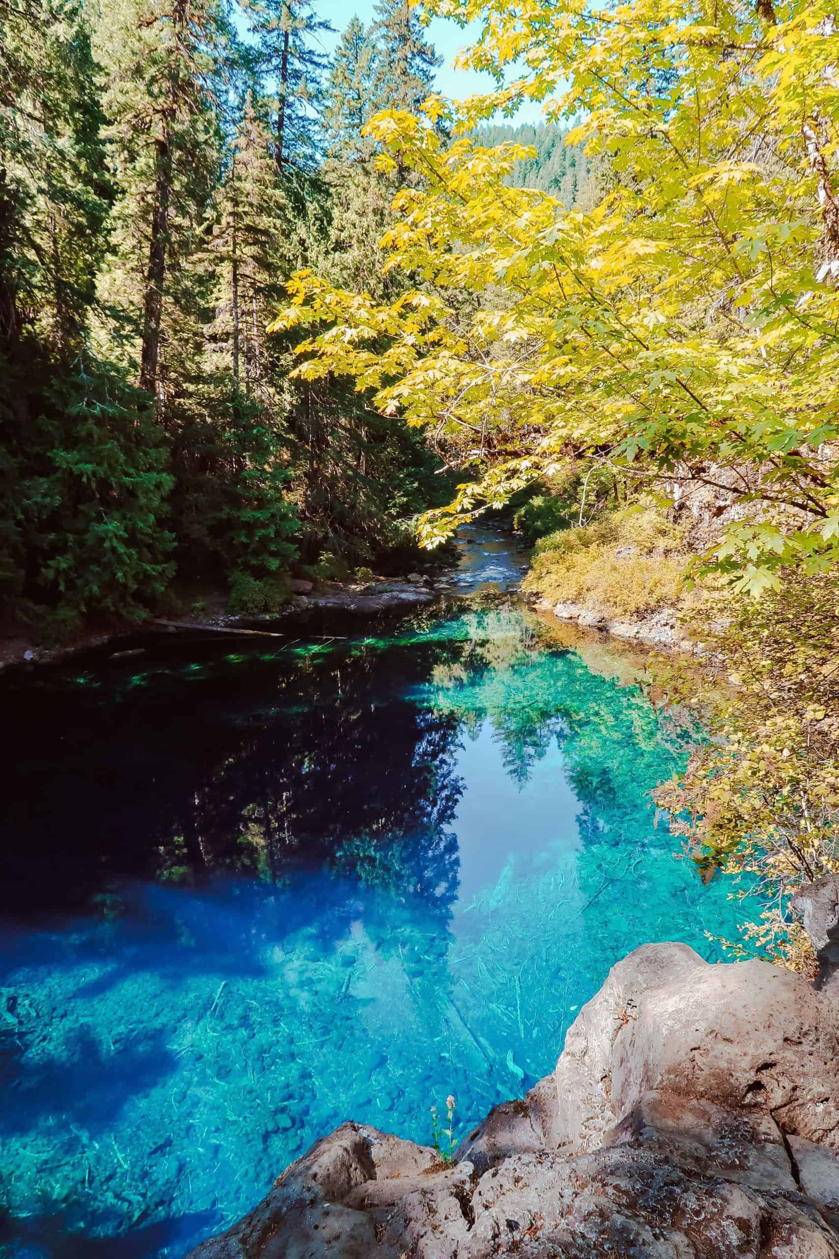 Tamolitch Falls (Blue Pool) - The Perfect Oregon Road Trip Itinerary | The Republic of Rose