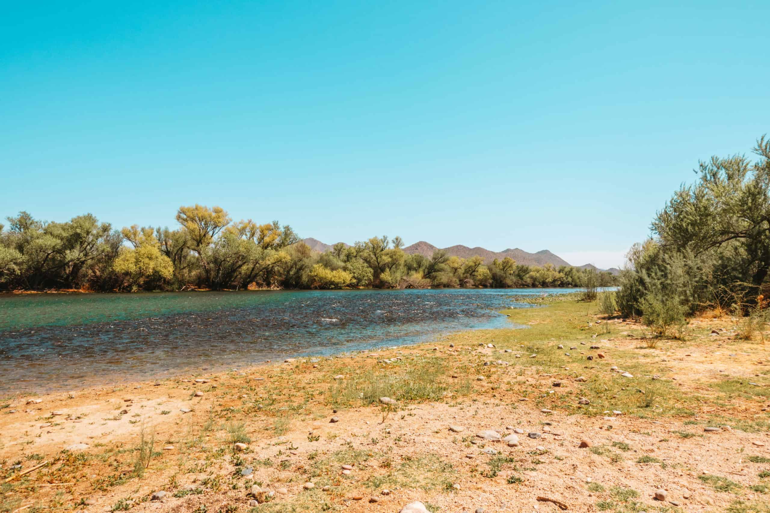 Salt River in Phoenix, Arizona