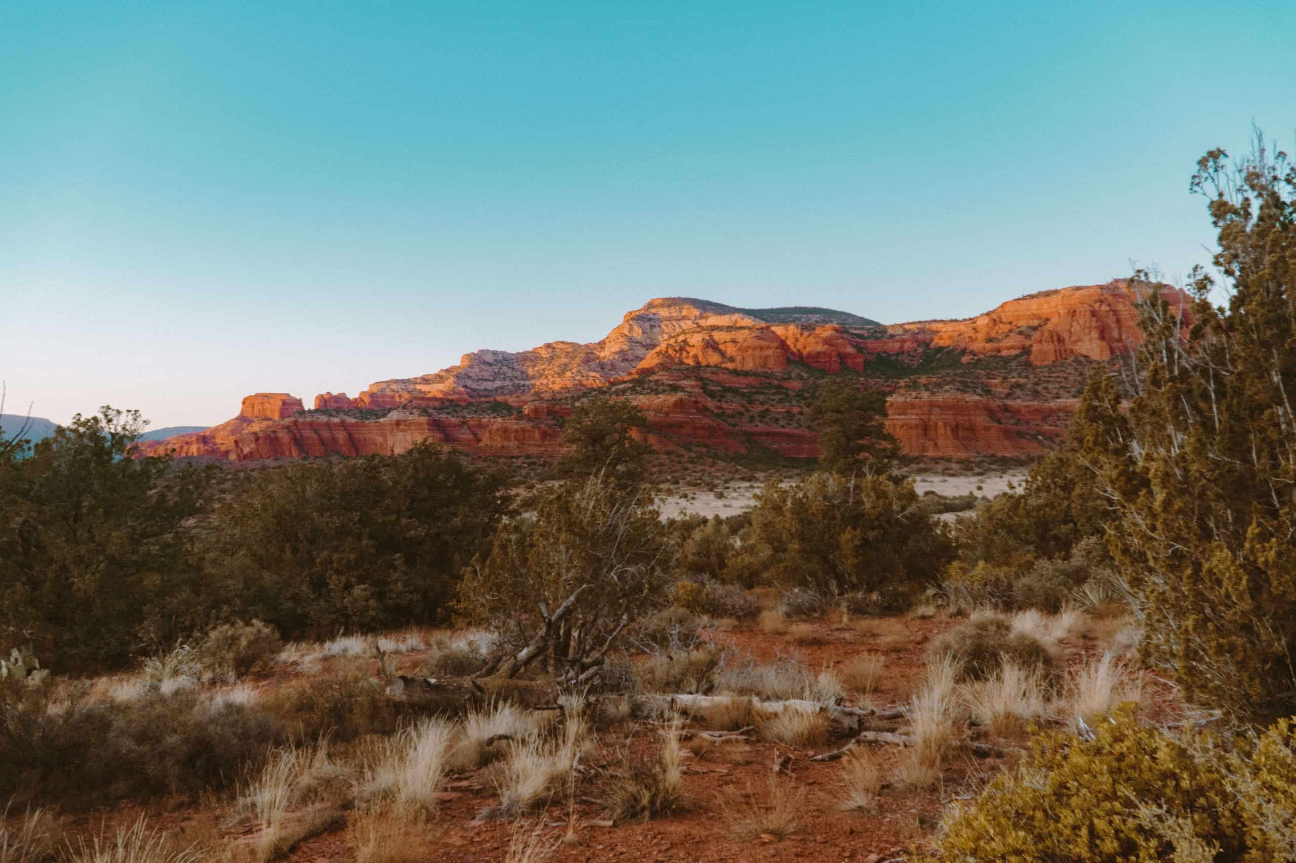 Golden hour at the red rocks in Sedona, Arizona