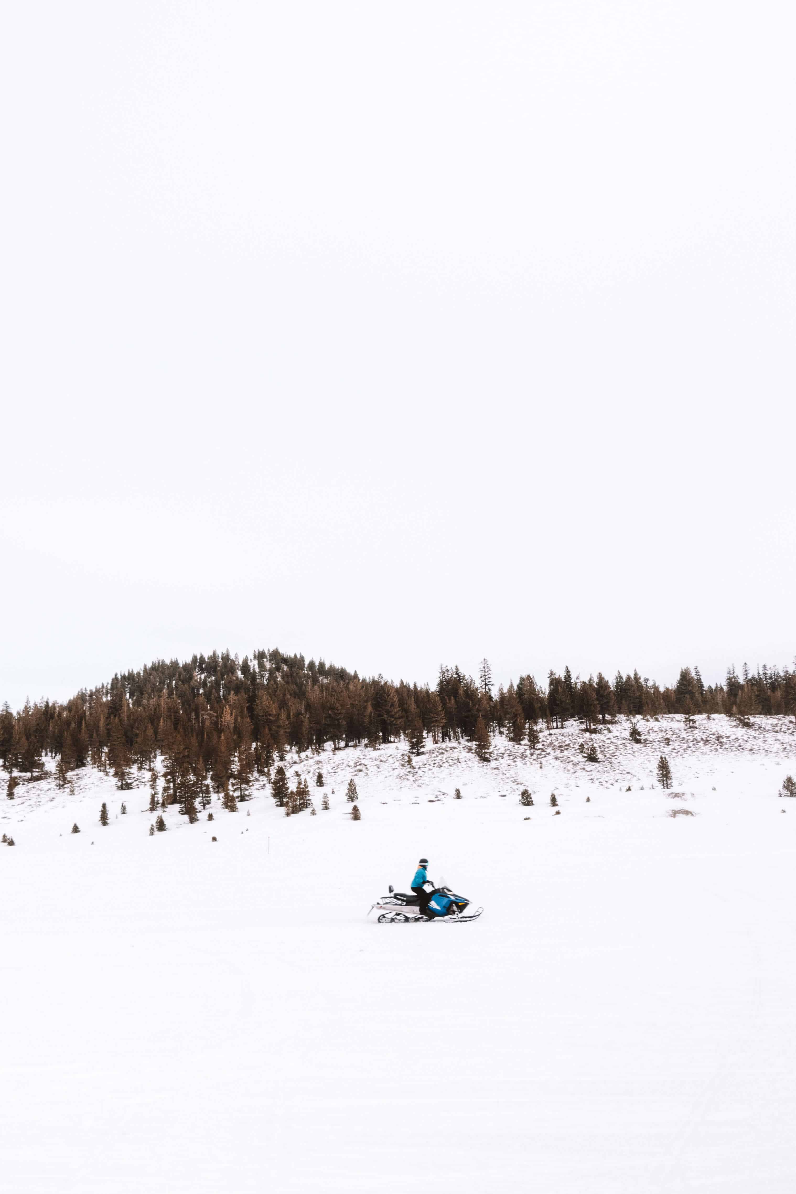 Snowmobile Adventures tour | The Ultimate Guide to Mammoth Lakes in the Winter