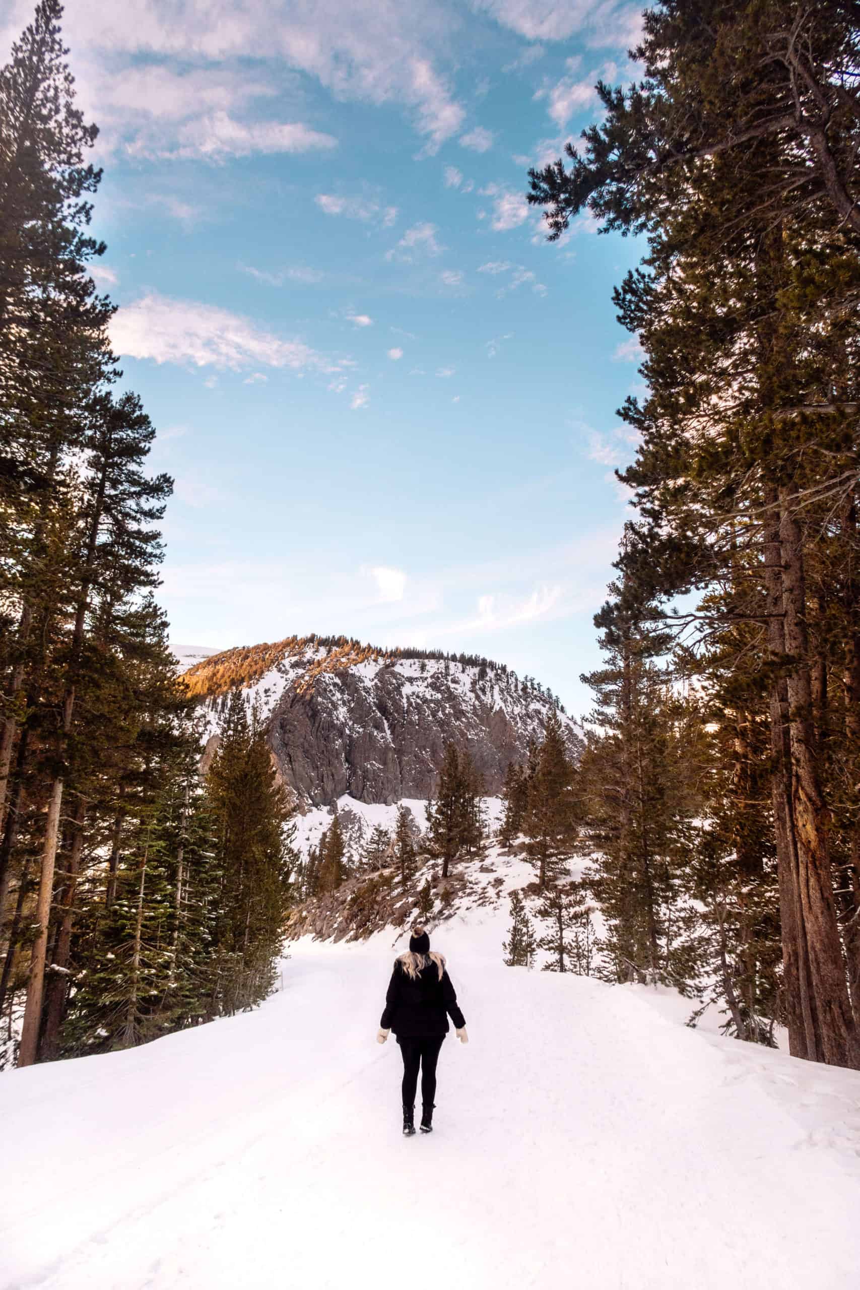 Tamarack Lodge trail | The Ultimate Guide to Mammoth Lakes in the Winter