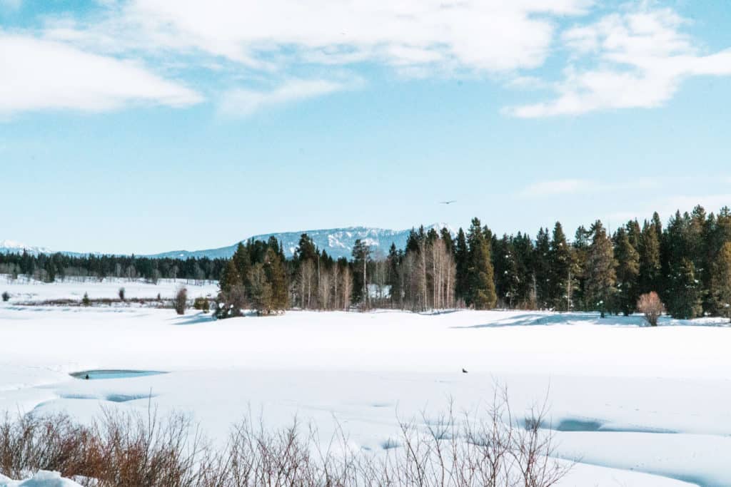 Grand Teton National Park in the winter