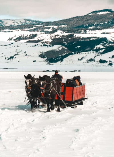 Horse-drawn sleigh ride at National Elk Refuge in Jackson, Wyoming