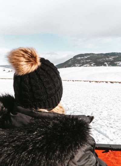 Views from the sleigh ride at the National Elk Refuge in Jackson, Wyoming