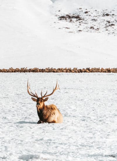 Wyoming Travel