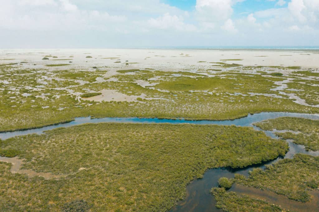 Water ways in Laguna Campechen of Sian Ka'an Biosphere Reserve in Mexico