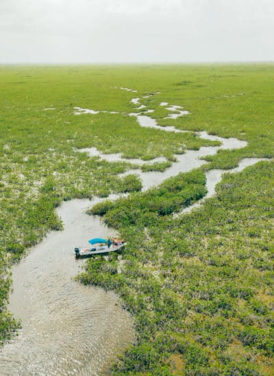 Water ways in Laguna Campechen of Sian Ka'an Biosphere Reserve in Mexico