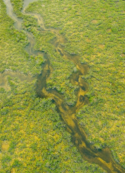 Water ways in Laguna Campechen of Sian Ka'an Biosphere Reserve in Mexico