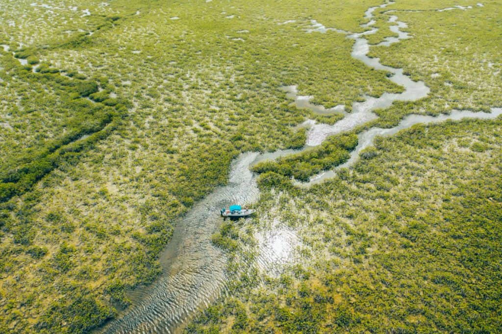 Boating through the water canals in Laguna Campechen of Sian Ka'an Biosphere Reserve in Mexico