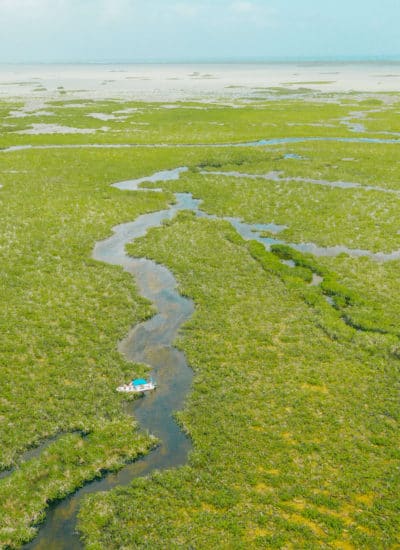 Boating through the water canals in Laguna Campechen of Sian Ka'an Biosphere Reserve in Mexico