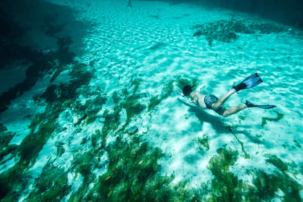 Free diving at Casa Cenote in Tulum, Mexico