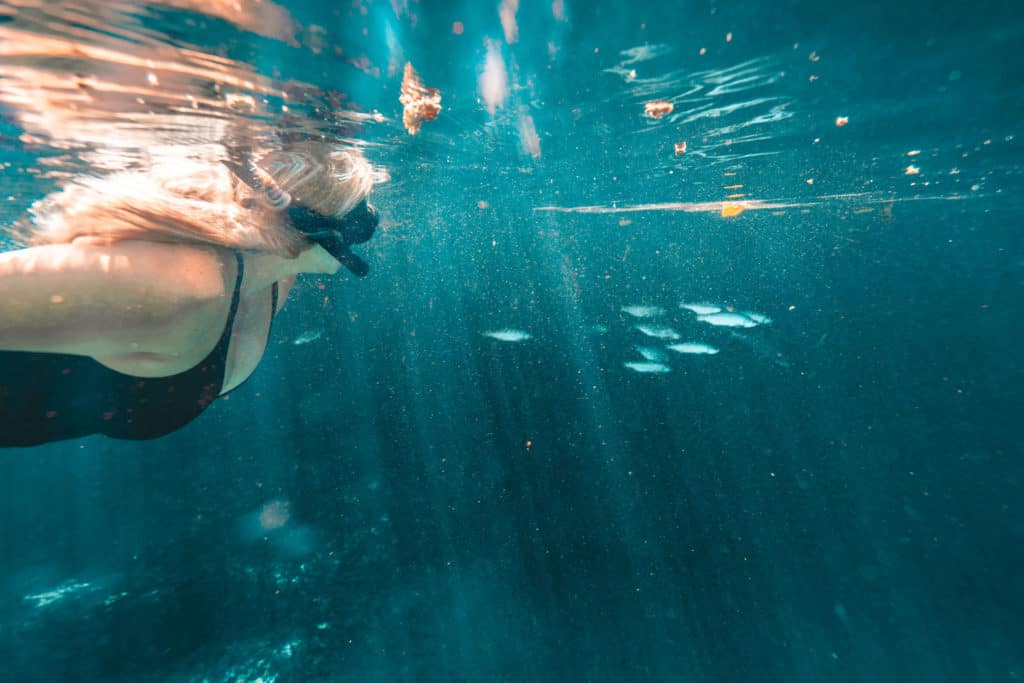 Swimming with a school of fish at Casa Cenote in Tulum, Mexico