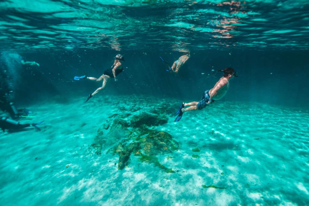 Swimming in Casa Cenote in Tulum, Mexico