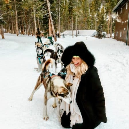 Dog Sledding in Breckenridge, Colorado