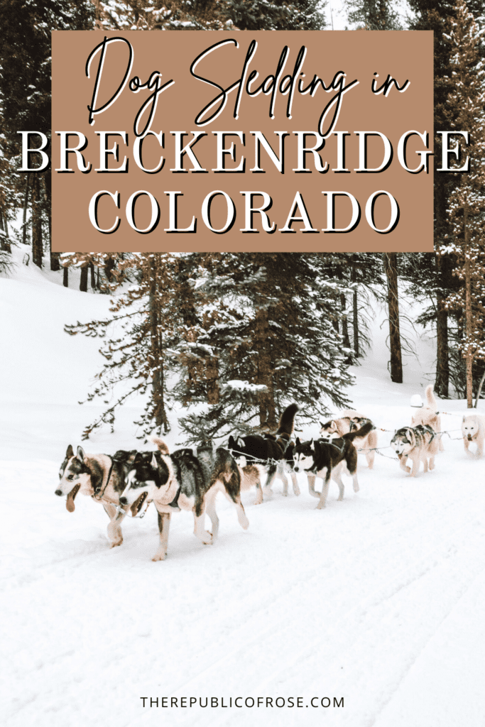 Dog Sledding in Breckenridge Colorado