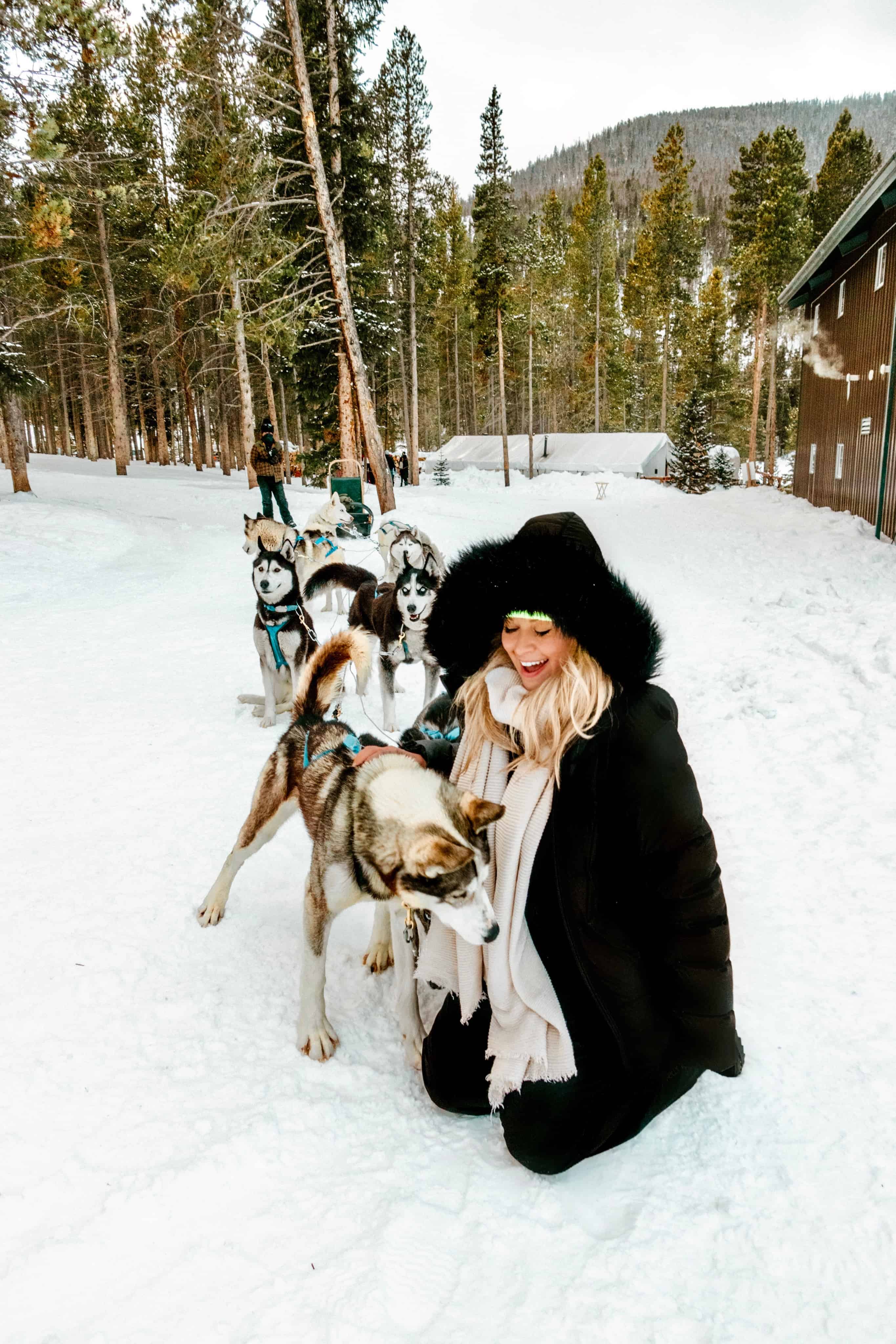 Spending time with the Siberian Huskies while Dog Sledding in Breckenridge, Colorado