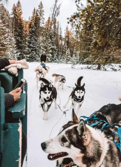 Dog sledding in Breckenridge, Colorado