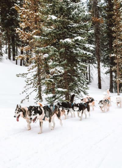 Dog Sledding in Breckenridge, Colorado | The Ultimate Guide to Breckenridge in the Winter