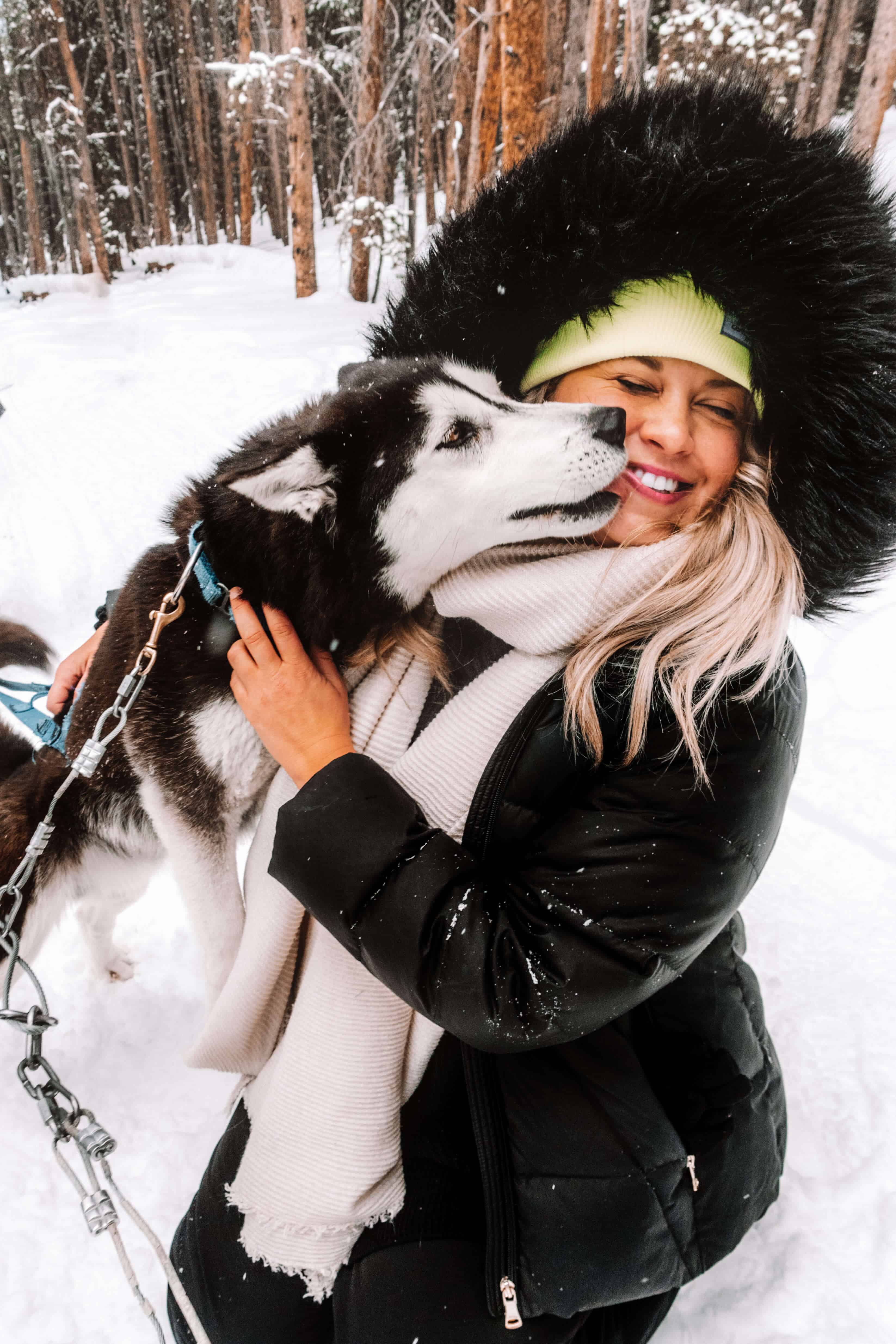 Spending time with the Siberian Huskies while Dog Sledding in Breckenridge, Colorado