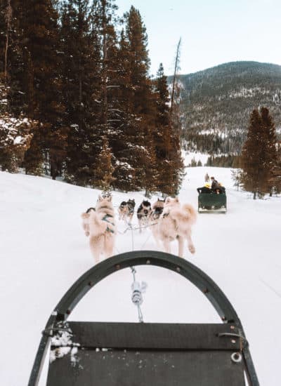 Dog sledding in the Swan River Valley with Good Times Adventures