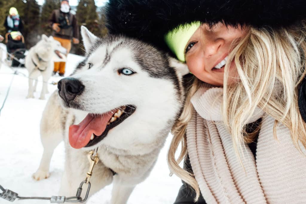 Dog Sledding in Breckenridge, Colorado | The Ultimate Guide to Breckenridge in the Winter