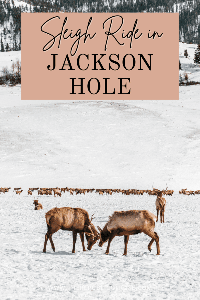 Sleigh Ride through National Elk Refuge in Jackson Hole. Wyoming