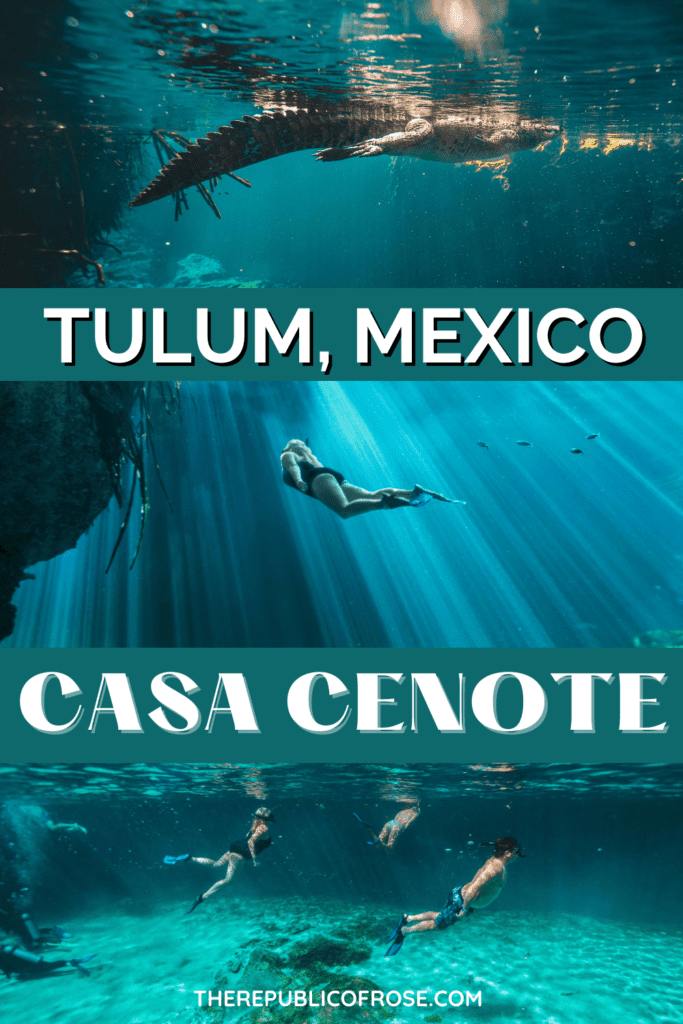 Guide to Visiting Casa Cenote in Tulum, Mexico