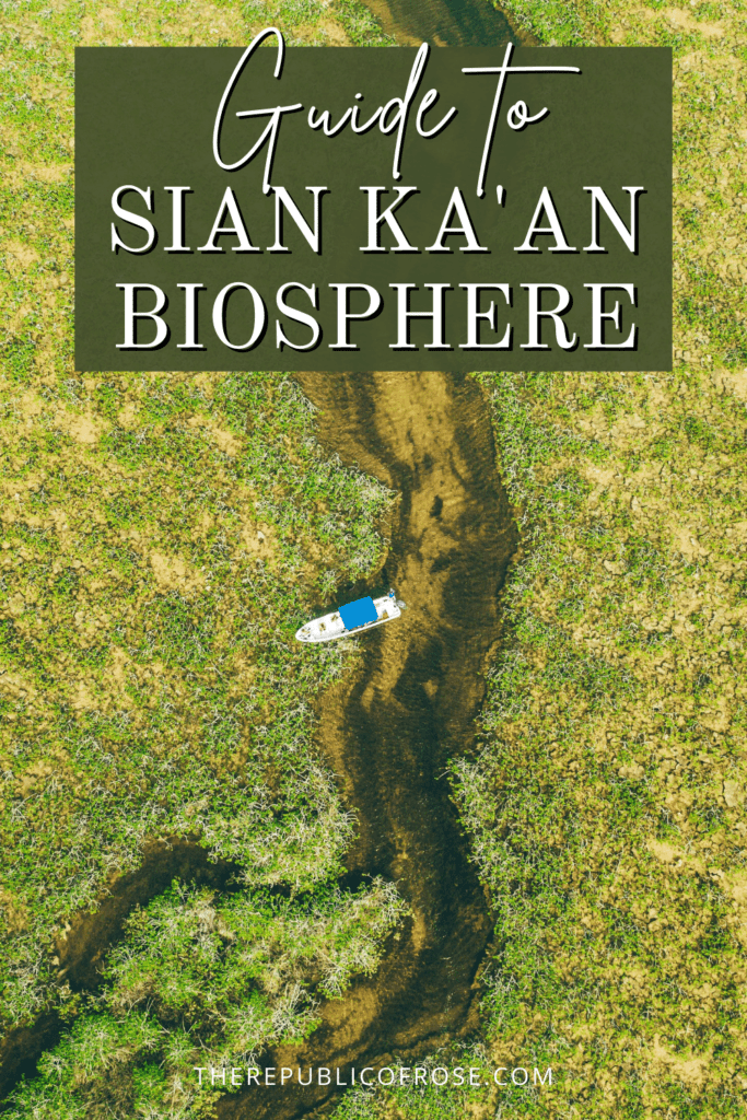 Ultimate Guide to Sian Ka'an Biosphere Reserve in Mexico