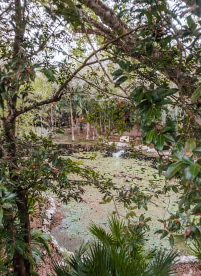 Chable Yucatan Cenote