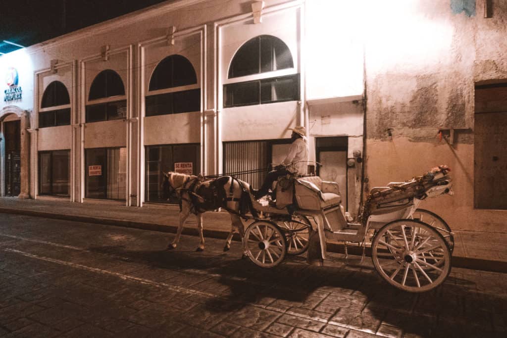 Things to do in Merida, Mexico | Horse-drawn carriage