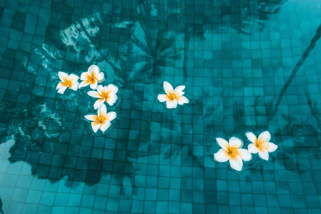 Pool at Amankila in Bali, Indonesia