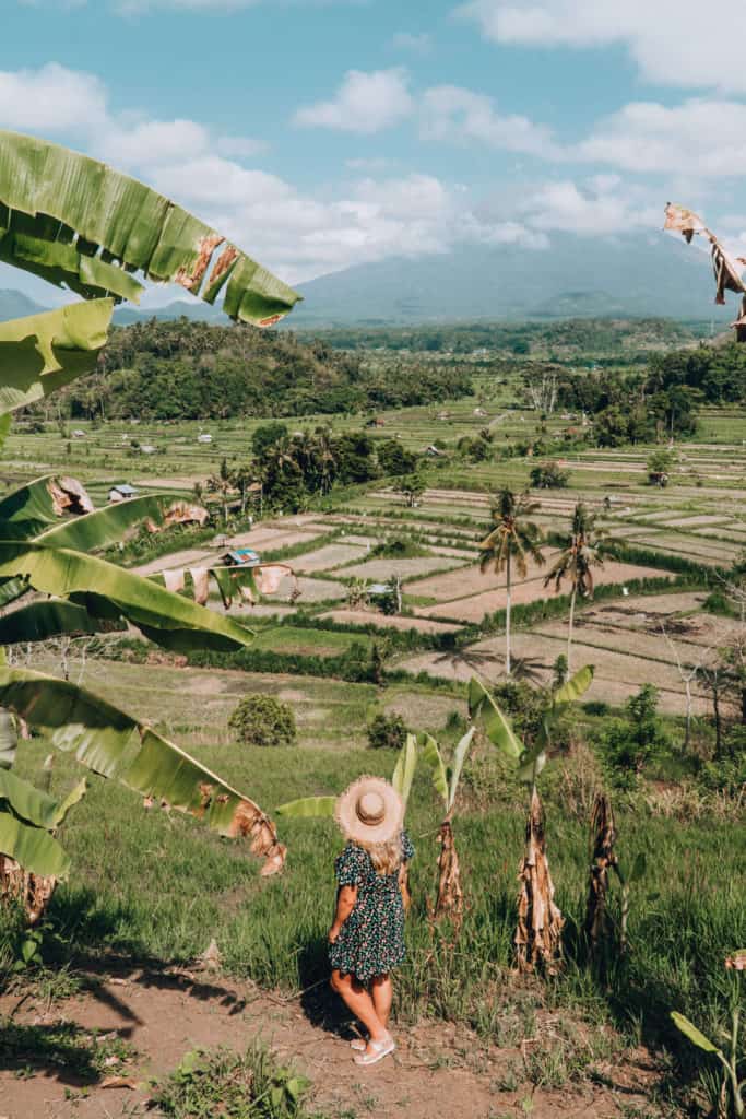 Views of Mount Agung over rice paddies in Bali, Indonesia