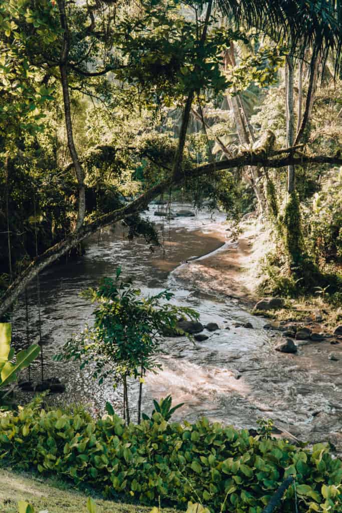 Ayung River at Four Seasons Sayan in Ubud, Bali