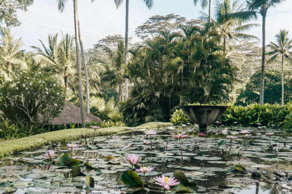 Spa at the Four Seasons Sayan