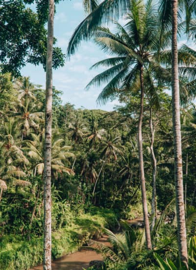 Spa at Four Seasons Sayan in Ubud