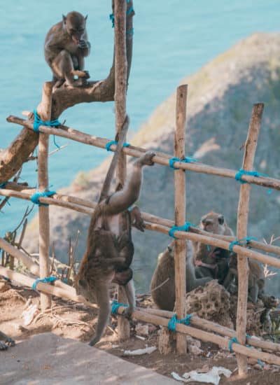 Kelingking Beach Nusa Penida