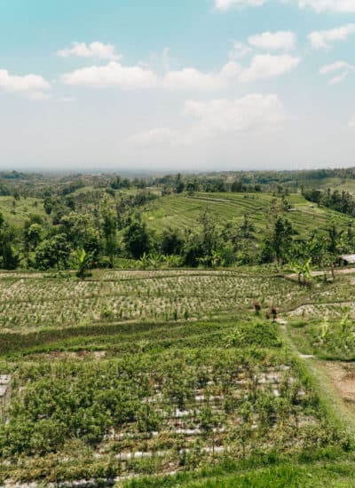 Jatiluwih Rice Terraces