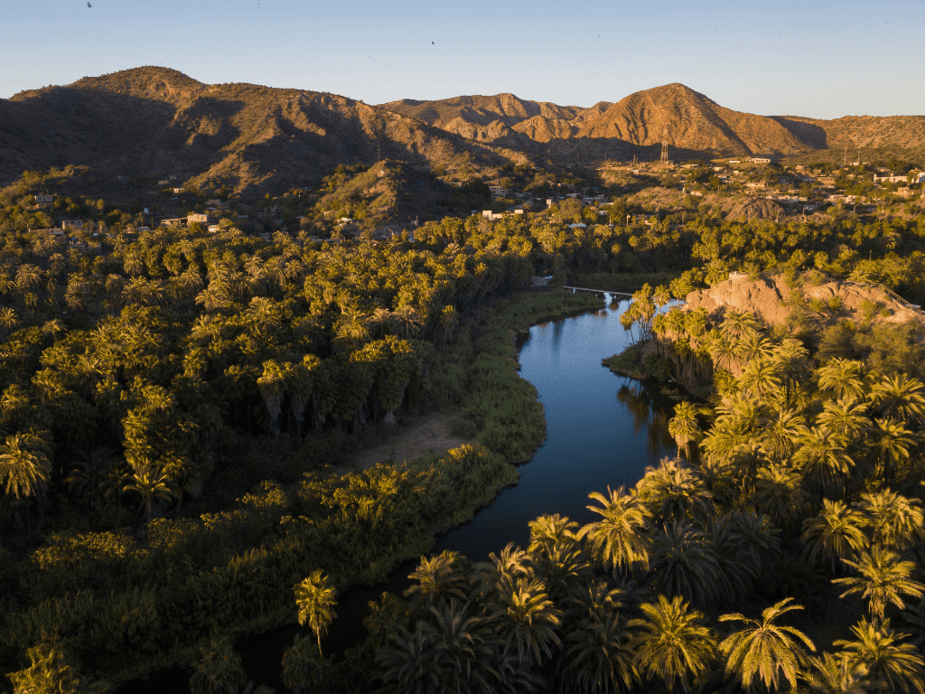 Mulege in Loreto Baja California