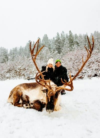 Leavenworth Reindeer Farm