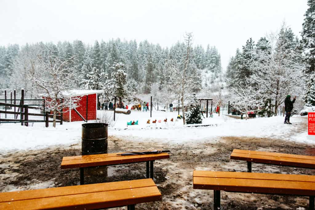 Leavenworth Reindeer Farm