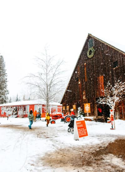 Leavenworth Reindeer Farm