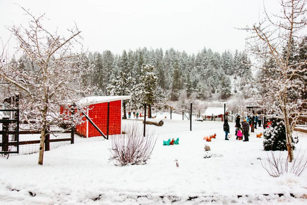 Leavenworth Reindeer Farm in Washington
