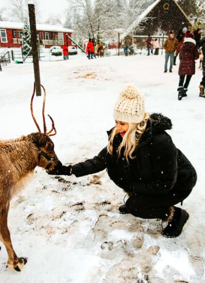 Feeding the reindeer at Leavenworth Reindeer Farm