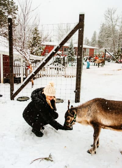 Leavenworth Reindeer Farm