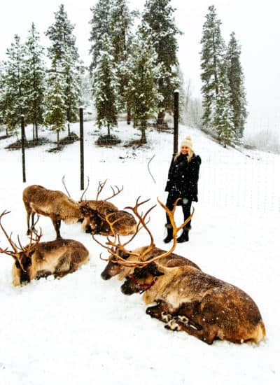 Leavenworth Reindeer Farm