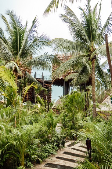 Treehouse Suites at Nomade Holbox